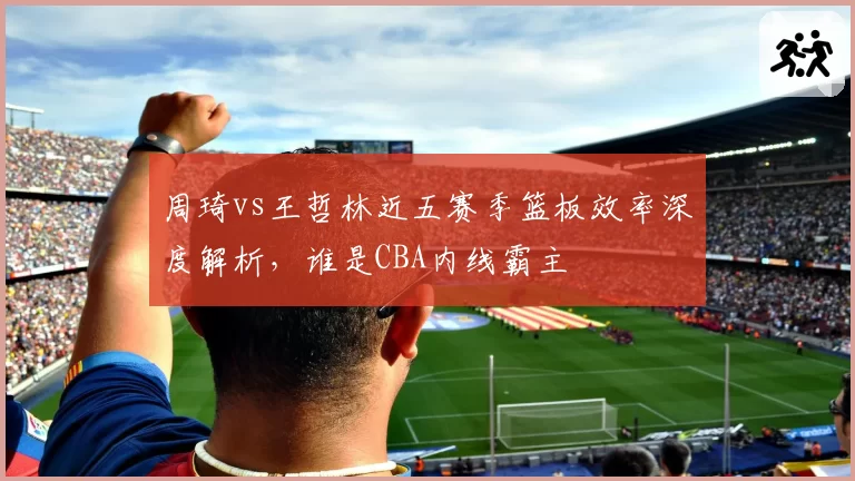 周琦vs王哲林近五赛季篮板效率深度解析，谁是CBA内线霸主