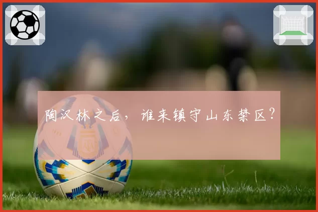 陶汉林之后，谁来镇守山东禁区？
