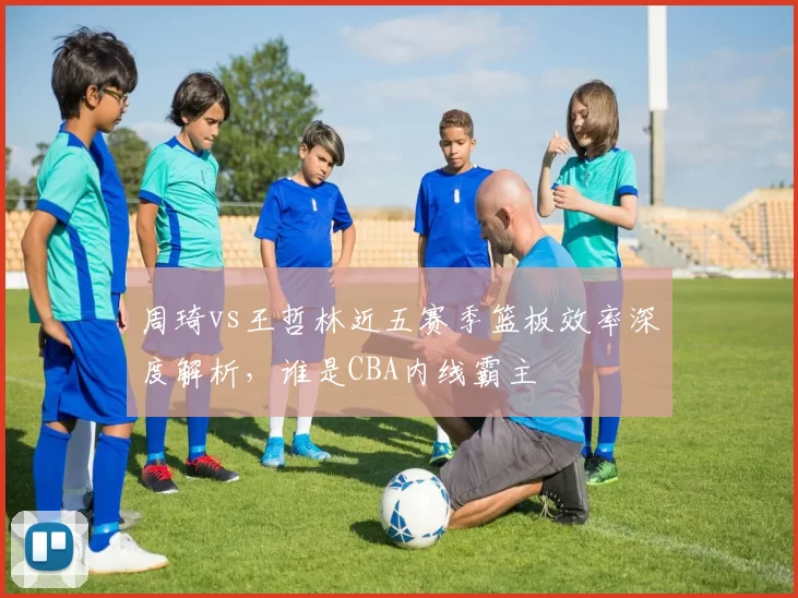 周琦vs王哲林近五赛季篮板效率深度解析，谁是CBA内线霸主