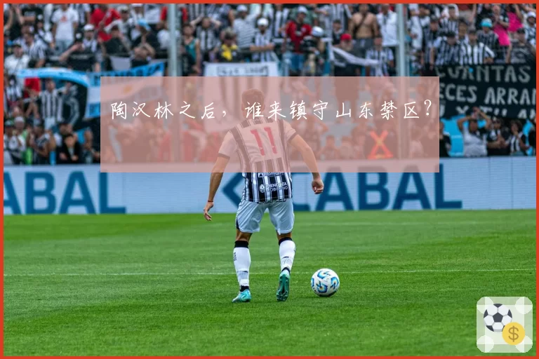 陶汉林之后，谁来镇守山东禁区？